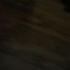 Meet your Posher, Slizzy